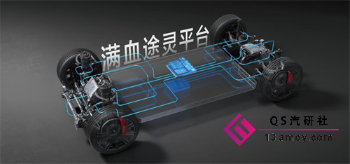 图片12.png